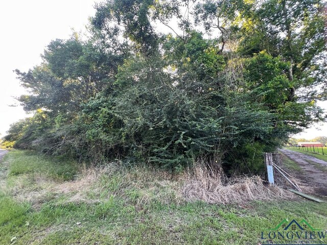 TBD Fm 999, Gary, TX 75643 - photo 6