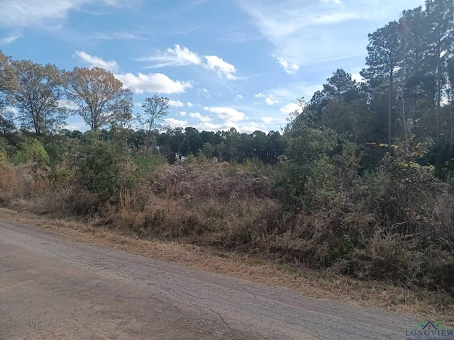 TBD2 Geranium Rd, Ore City TX, 75683 land for sale