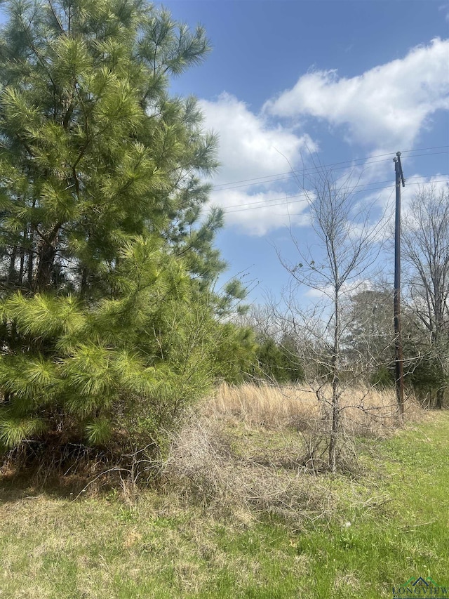 TBD S Sh 42, Henderson TX, 75654 land for sale