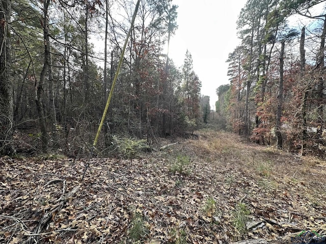 Listing photo 3 for TBD Fm 726, Gilmer TX 75645