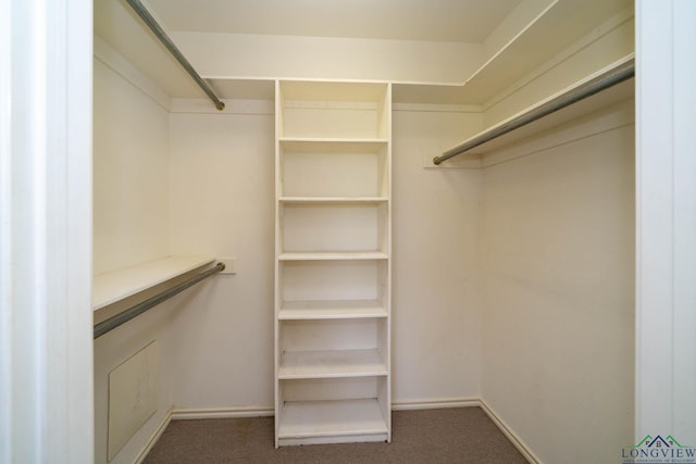 620 County Road 3332, Omaha, TX 75571 - walk in closet with carpet