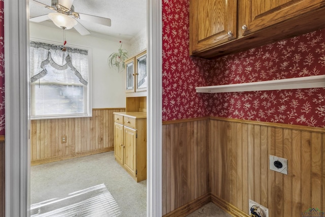 clothes washing area with ornamental molding, ceiling fan, and electric dryer hookup