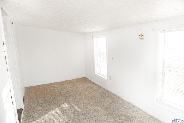 unfurnished room with carpet floors