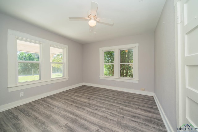 unfurnished room featuring ceiling fan and wood-type flooring