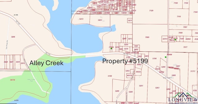 TBD Fm 729, Avinger, TX 75630