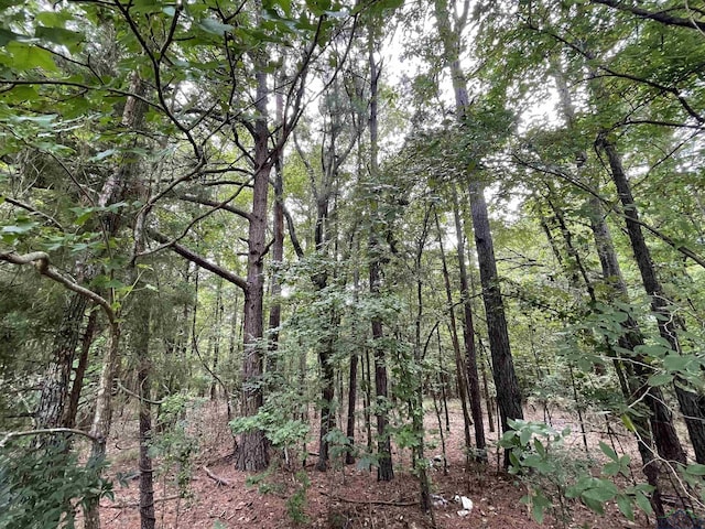 TBD Fm 729, Avinger, TX 75630