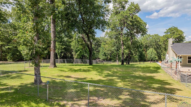 303 County Road 2310, Mineola, TX 75773 - photo 43