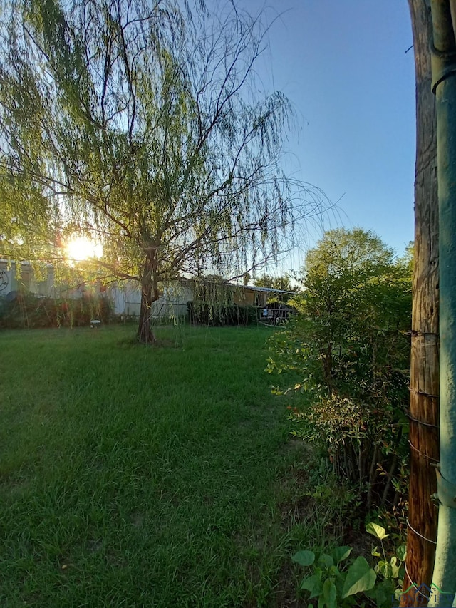 1103 Long St, Gladewater, TX 75647 - view of green lawn