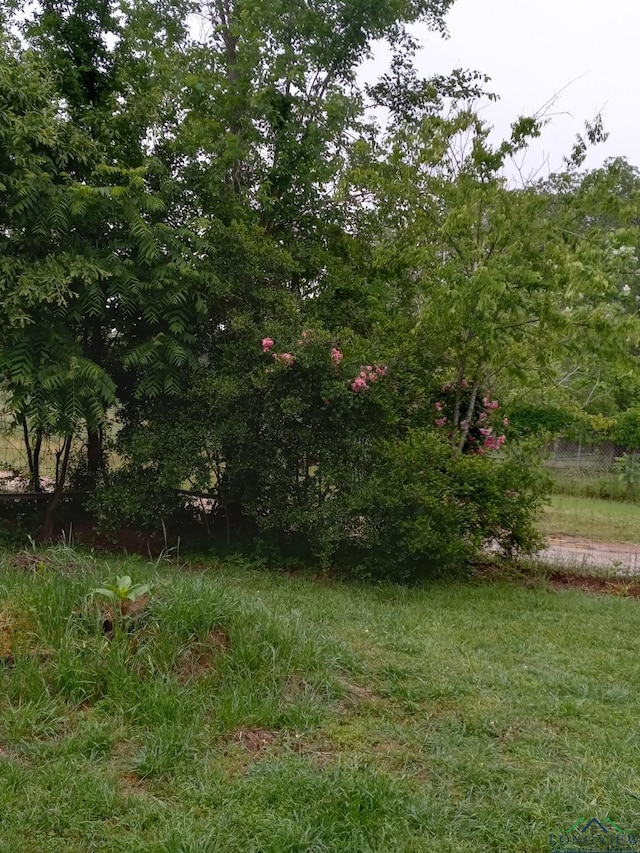 1103 Long St, Gladewater, TX 75647 - view of yard