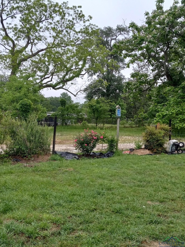 1103 Long St, Gladewater, TX 75647 - view of green lawn
