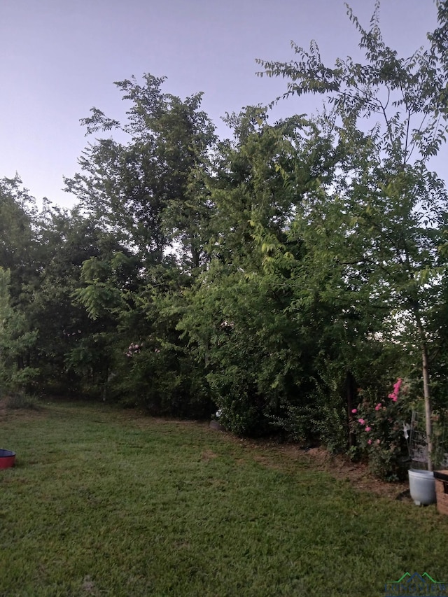 1103 Long St, Gladewater, TX 75647 - view of green lawn