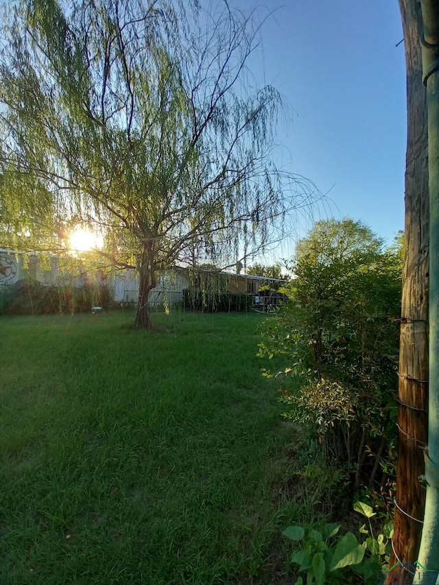 1103 Long St, Gladewater, TX 75647 - view of grassy yard