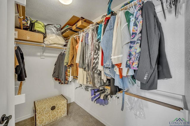 walk in closet with carpet flooring