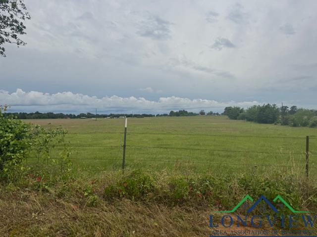 TBD Cr 3365, Mount Pleasant, TX 75558 - photo 4