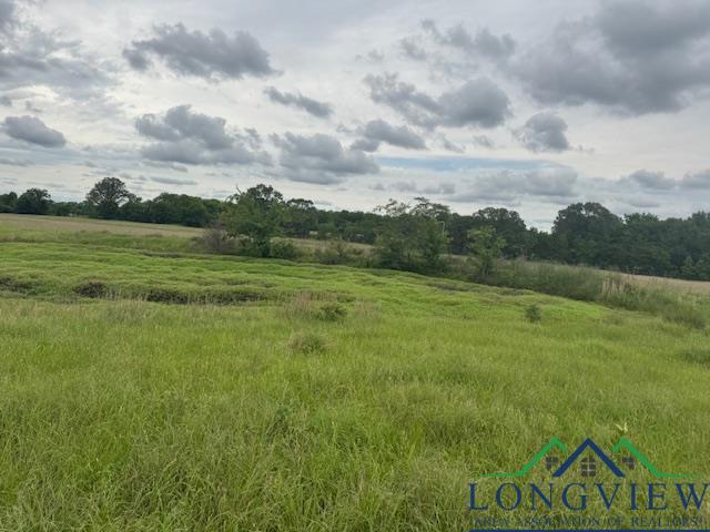 TBD Cr 3365, Mount Pleasant, TX 75558 - photo 8