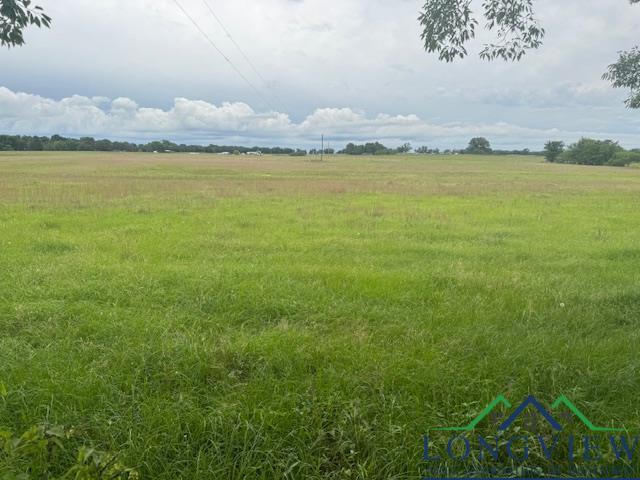 TBD Cr 3365, Mount Pleasant, TX 75558 - photo 7