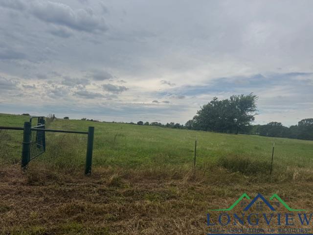TBD Cr 3365, Mount Pleasant, TX 75558 - photo 3
