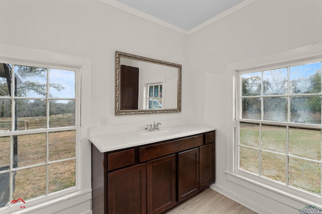 bathroom featuring hardwood / wood-style floors, vanity, and a wealth of natural light