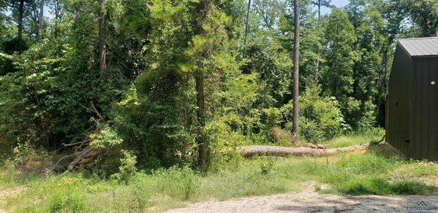 LOT146 Oakwood Dr, Gilmer TX, 75645 land for sale