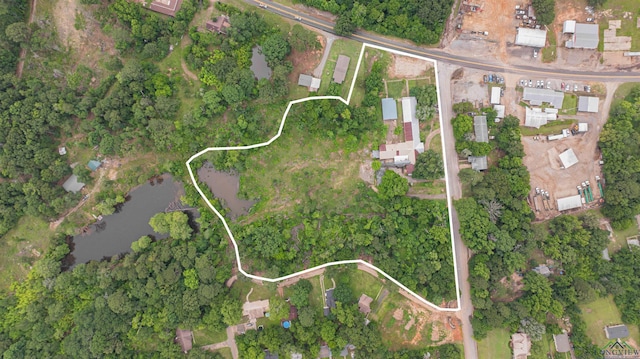 911 S Helen St, Overton, TX 75684 - view of property location with property boundaries highlighted