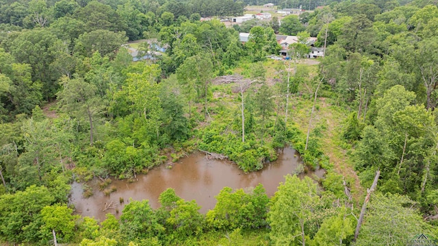 911 S Helen St, Overton, TX 75684 - bird's eye view of a forest and a nearby body of water