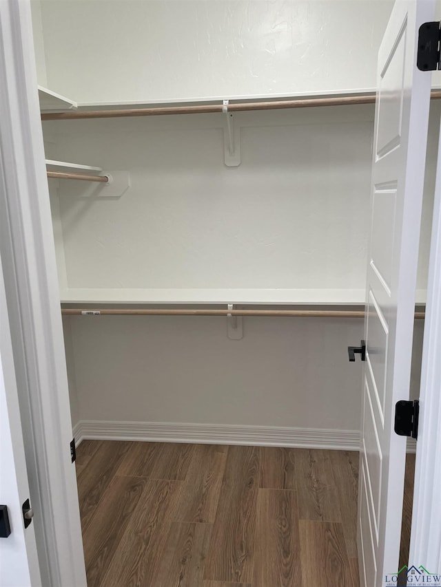 spacious closet with dark hardwood / wood-style flooring