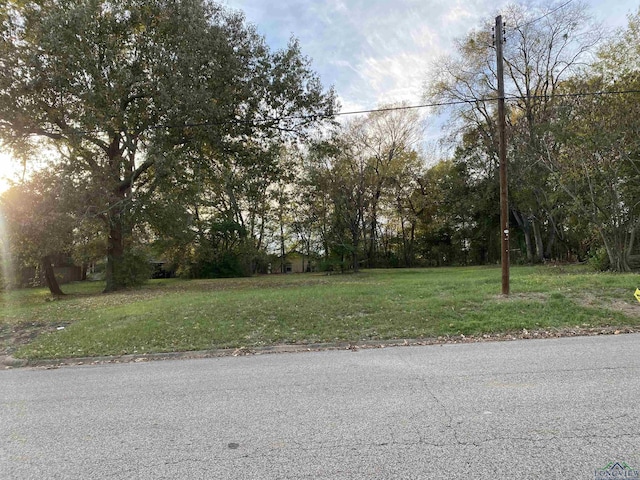 505 Harrison St, Longview TX, 75601 land for sale