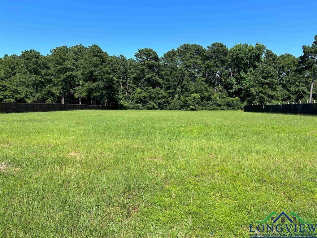 3108 Trammels Trce, Marshall, TX 75672 - photo 4