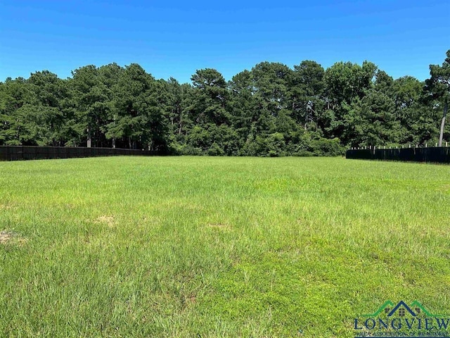 3108 Trammels Trce, Marshall, TX 75672 - photo 4