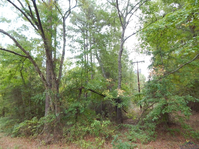 Listing photo 2 for TBD70.78 Red Maple Rd, Big Sandy TX 75755