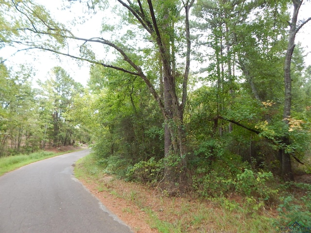 Listing photo 3 for TBD70.78 Red Maple Rd, Big Sandy TX 75755