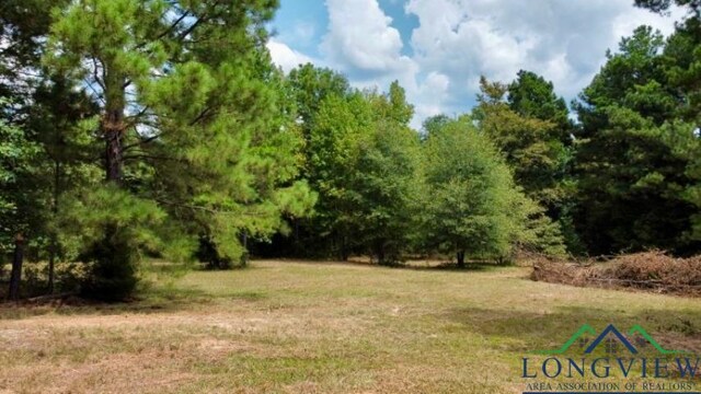 1317 N Main, Linden, TX 75563