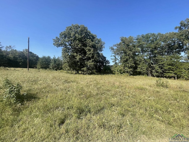 Listing photo 2 for TBD Dahlia Rd, Gilmer TX 75644