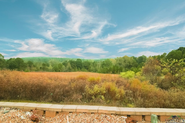 view of nature