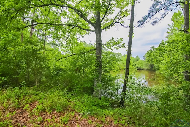 view of landscape featuring a water view