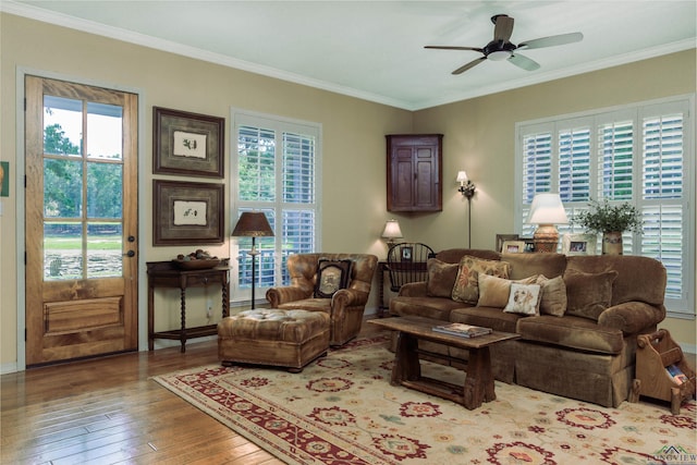 living room featuring hardwood / wood-style floors, ceiling fan, and ornamental molding