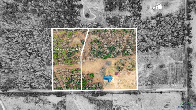 1255 County Road 4305, Naples, TX 75568 - drone / aerial view
