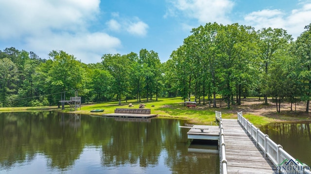 1882 County Road 3000, Joaquin, TX 75954 - dock area with a water view and a lawn