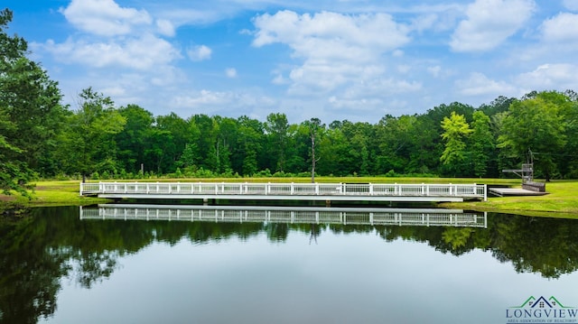 1882 County Road 3000, Joaquin, TX 75954 - water view with a forest