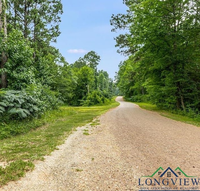 TBD Big Lake Rd, Karnack, TX 75661 - photo 3