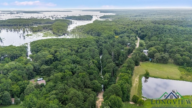 TBD Big Lake Rd, Karnack, TX 75661 - photo 4