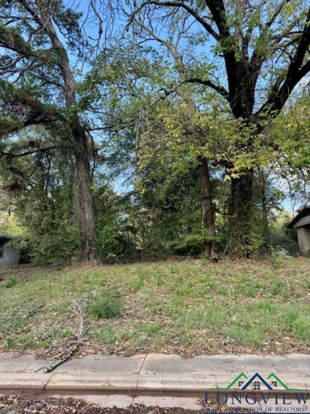 225 Byrne Ave, Lone Star TX, 75668 land for sale