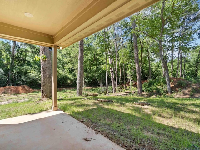 view of yard with a patio area