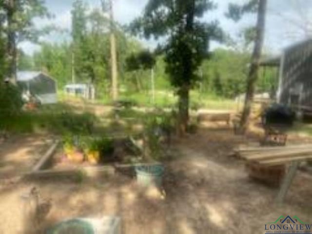 view of yard featuring a vegetable garden and driveway