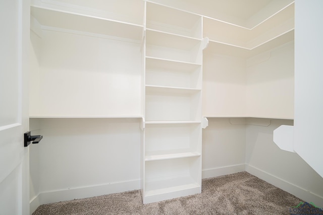 spacious closet with carpet