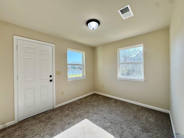 entrance foyer with a wealth of natural light, visible vents, baseboards, and carpet floors