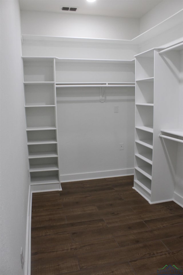 spacious closet featuring dark hardwood / wood-style flooring