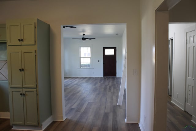 hall featuring dark hardwood / wood-style floors