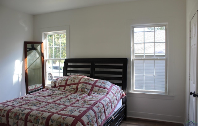 bedroom with multiple windows