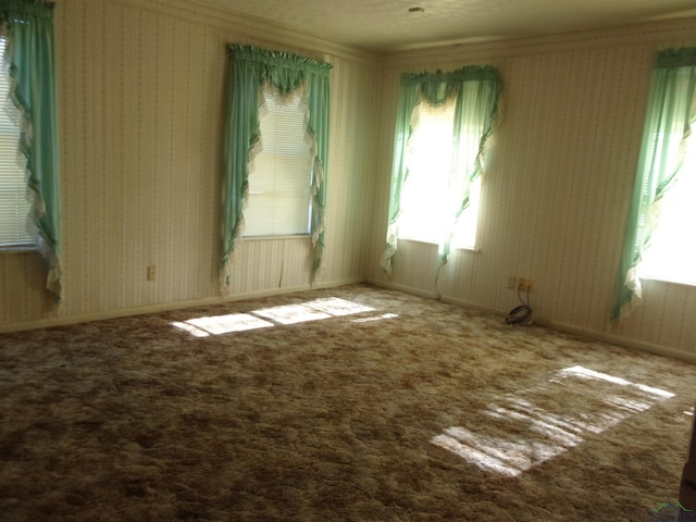 carpeted spare room with ornamental molding